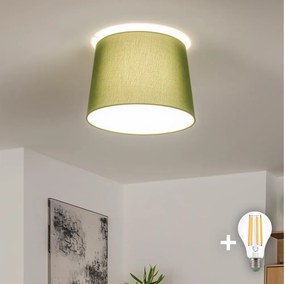 Brilagi - Plafoniera LED CERIA a montaggio superficiale 1xE27/40W/230V Ø 30 cm verde