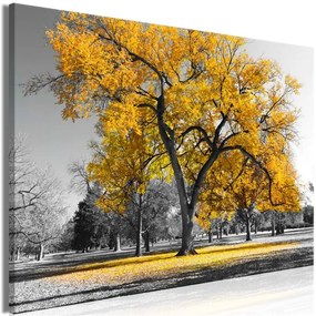 Quadro Autumn in the Park (1 Part) Wide Gold  Colore Grigio, Dimensioni e Misure 90x60