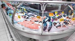 Tubo LED T8 per banchi Ittici 60cm 10W - Banco Pesce Colore Bianco Freddo "Fresh" CRI 90