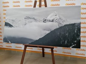 Stampa su tela – Paesaggio invernale in bianco e nero