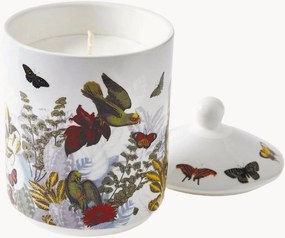 Candela profumata Jardin D'Hiver (Fico)