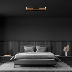 Briloner 3777-015 - Plafoniera LED FRAME, 21W, 230V, 3000K