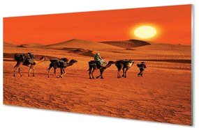 Pannello paraschizzi cucina Cammelli, persone, deserto, sole, cielo 100x50 cm