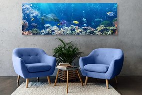Quadro su tela – Pesci tropicali