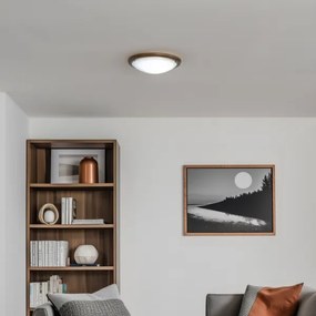 Rabalux 5417 - Plafoniera UFO E27/60W/230V