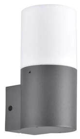 Applique da esterno DALLAS 1xE27/12W/230V IP44 antracite