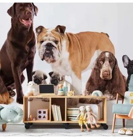 Carta da Parati Cani  Accucciati Lavabile 250x175