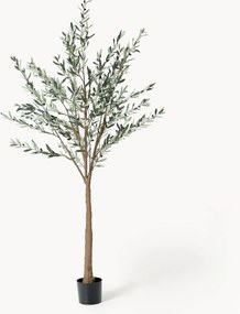 Pianta artificiale Olive Tree