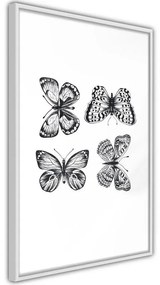 Poster Butterfly Collection III