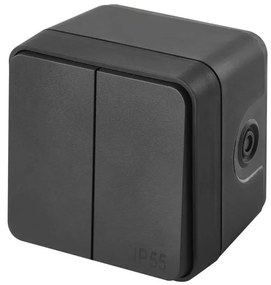 Interruttore domestico a 2 pulsanti con funzionamento alternato, n. 6+6, IP55, antracite