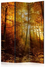 Paravento  Autumn Illumination [Room Dividers]  Colore ---, Dimensioni e Misure 135x172