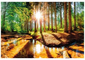 Carta da parati – Foresta da Favola
