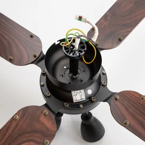 ZEVENTI - Ventilatore da soffitto ZURRIOLA 3xGU10/50W/230V