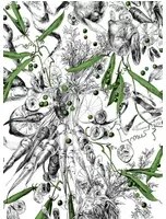Edmond Petit Carta da parati Feu d'Artifice Lègumes - Feu d'Artifice Lègumes - Petits Pois