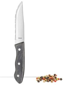 Amefa - Coltello da Bistecca XL con Manico in Legno Hercule