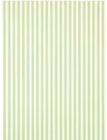 Sanderson Tapete New Tiger Stripe - Leaf Green/ Ivory