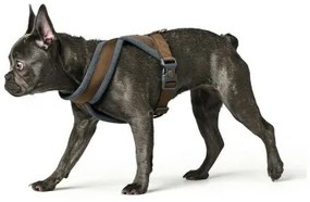 Imbracatura per Cani Hunter London Comfort 52-62 cm Marrone Taglia S/M
