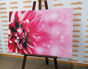 Stampa su tela – Fiore rosa
