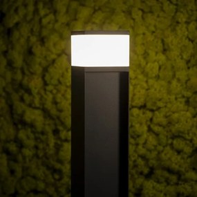 Kanlux 38762 - Lampada da esterno DASTEN 1xG9/11W/230V 30 cm IP44 nero