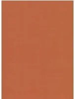 Nobilis Carta da parati Seta - STA15