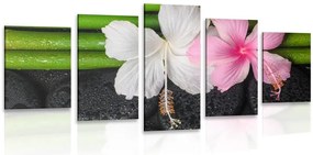 Quadri 5 pezzi – Natura morta benessere