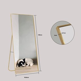 Specchio Figura Intera Da Terra Con Profili Dorati 165x55
