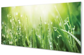 Quadro su vetro acrilico Cade il sole dell'erba 100x50 cm