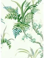 Coordonne Carta da parati Wild Ferns - Mint