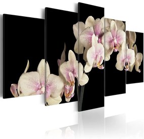 Quadro Orchidea su sfondo contrastante