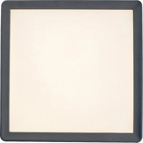 Rabalux 3359 - Plafoniera LED da bagno LAMBERT LED/15W/230V IP44