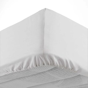 Lenzuolo bianco in cotone elasticizzato 160x200 cm Lina - douceur d'intérieur