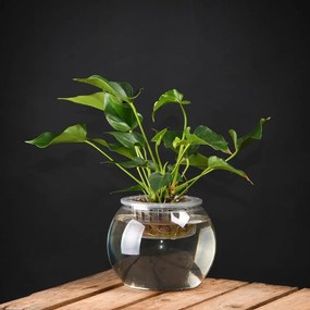 Vaso in plastica ø 22 cm - Esschert Design