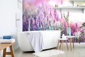 Carta da parati autoadesiva – Fiori magici di lavanda