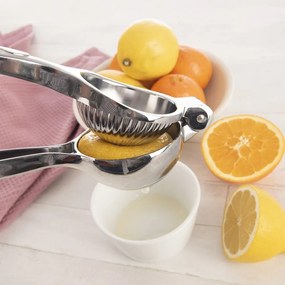 Spremi agrumi in metallo - Orion
