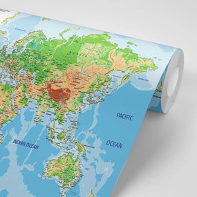 Carta da parati – Mappa del mondo classica