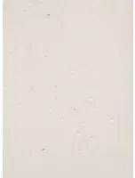 Terrastone Rustique floor - 15kg - KB6 - Beton Opal