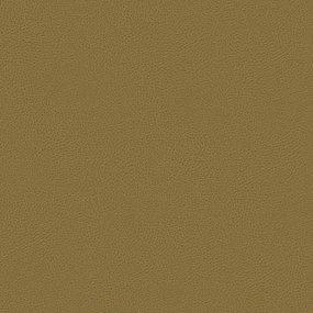 Bisont cuscino disponibile in diversi colori realizzato in microfibra effetto pelle smacchiabile T15
