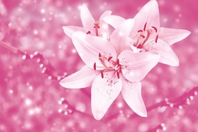 Carta da parati – Gigli in Abito Rosa
