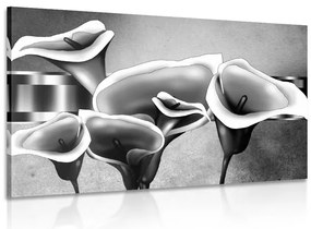Quadro su tela – Eleganti fiori di calla in bianco e nero
