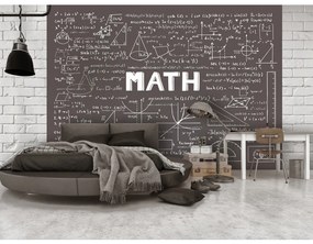 Carta da parati
adesiva Scritte: Matematica - Lavagna con scritte e formule matematiche per una stanza