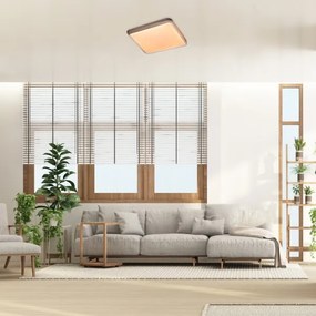 Rabalux 71166 - Plafoniera LED DRUZOR LED/40W/230V 3000K