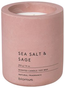 Candela di soia profumata tempo di combustione 55 h Fraga: Sea Salt and Sage - Blomus