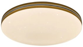 Rabalux 71177 - Plafoniera LED OSCAR LED/18W/230V 3000K diametro 34 cm