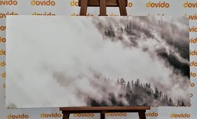 Stampa su tela – Foresta nebbiosa in bianco e nero