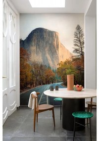 Fotomurale Yosemite, verde, marrone, grigio 159 x 280 cm