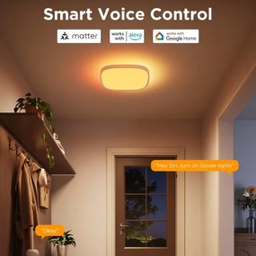Govee - LED RGBIC Plafoniera con dimmer LED/24W/230V 2700-6500K Wi-Fi