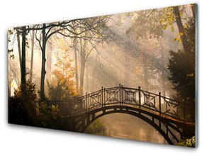 Pannello rivestimento parete cucina Architettura del ponte della foresta 100x50 cm