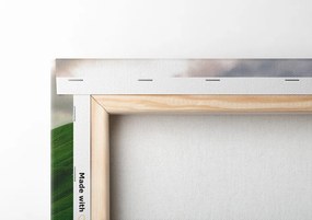 Stampa su tela – Natura verde