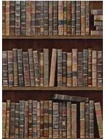 Mindthegap Carta da parati Book Shelves - WP20112
