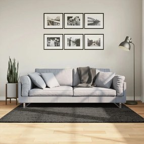 Tappeto A Pelo Lucido Lungo Istan Effetto Antracite 120x170 Cm /
